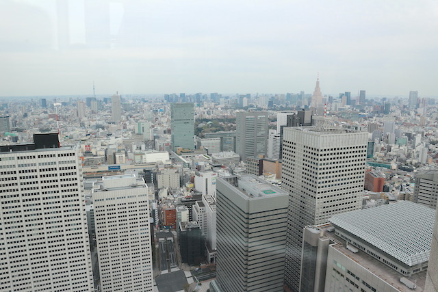 View of Shinjuku, Tokyo Japan.