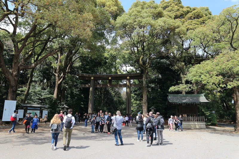Meiji Jingu. Tokyo Japan.